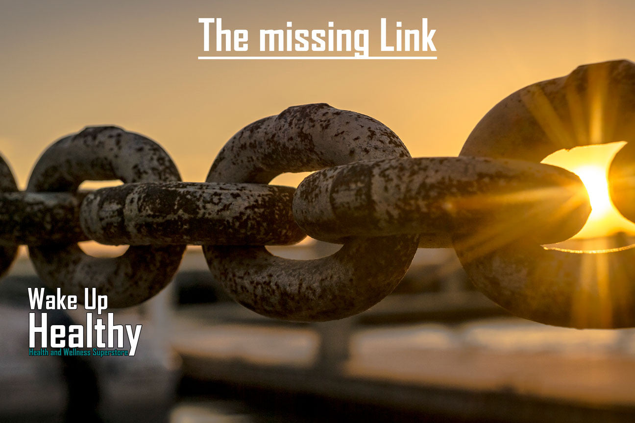 The Missing Link