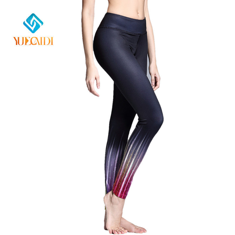 Ladies Fitness Tights