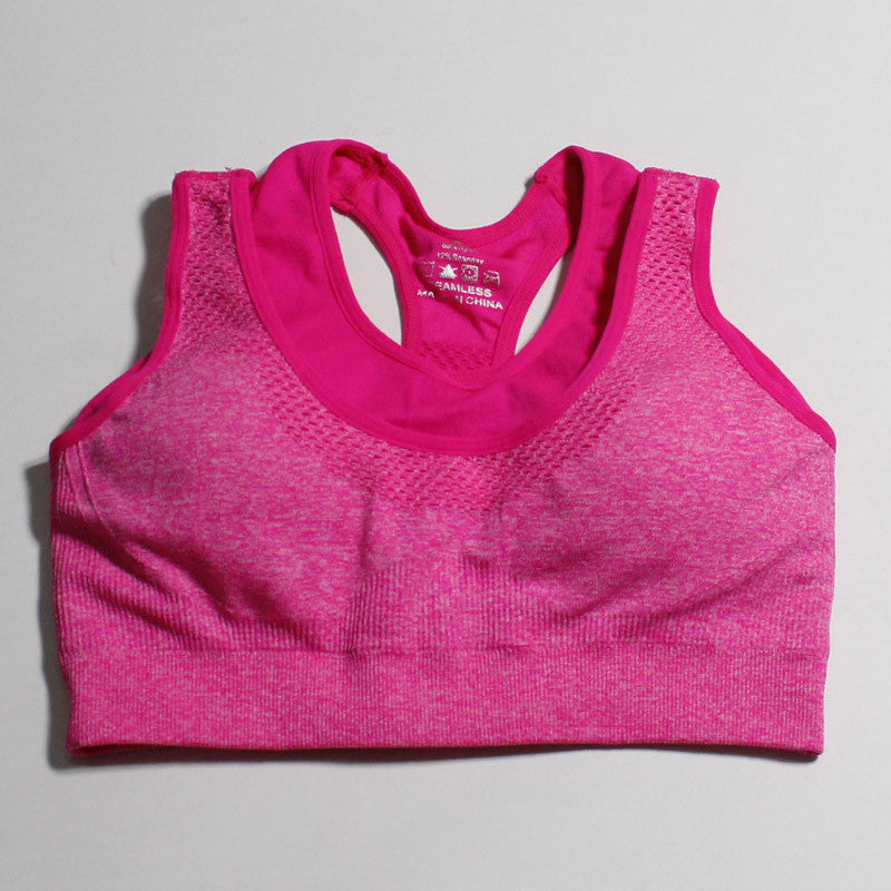 Ladies Sports Bra