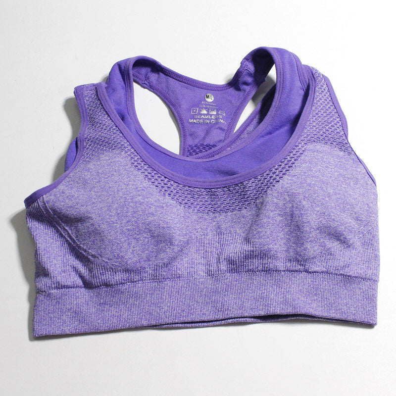 Ladies Sports Bra